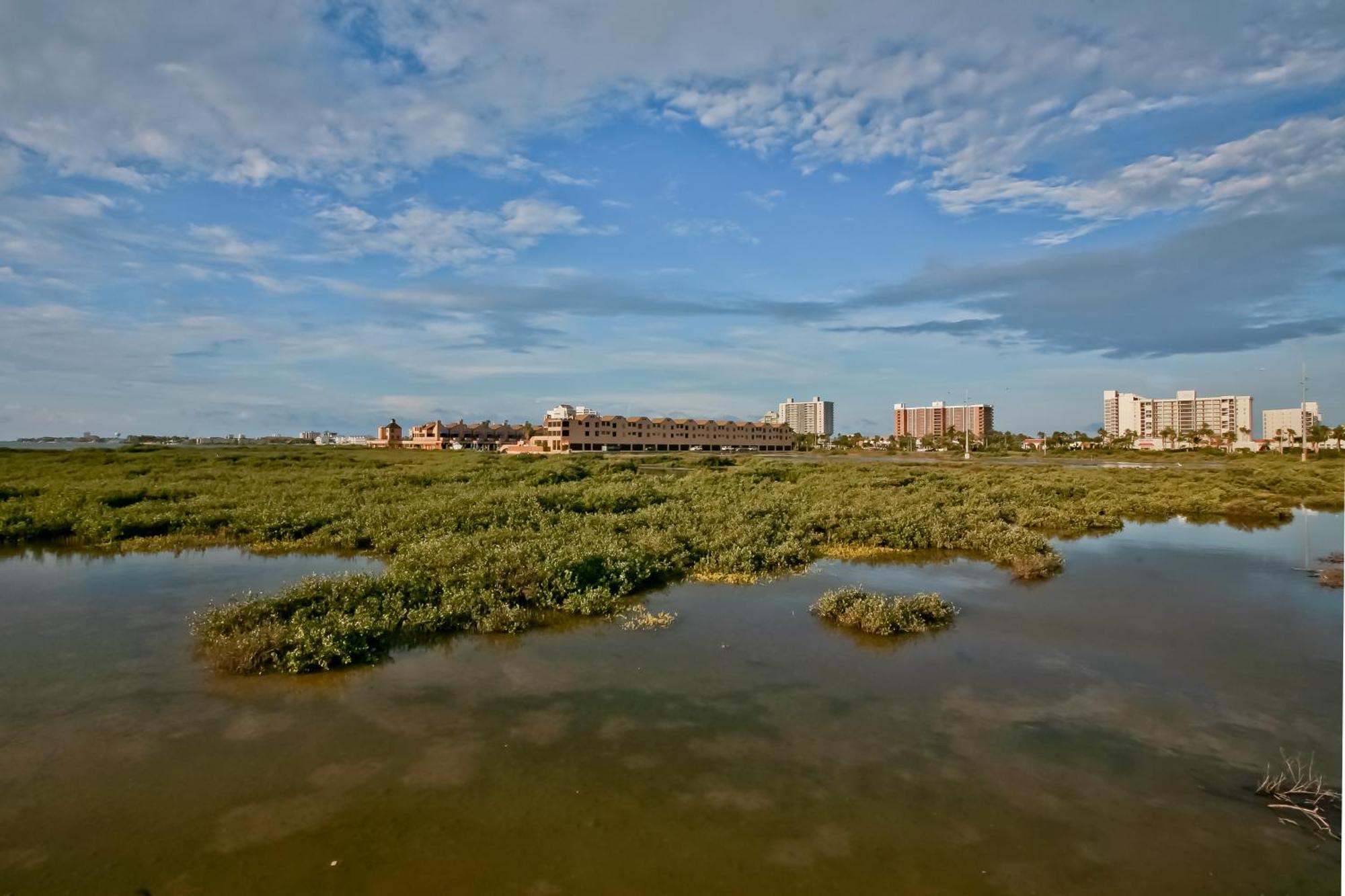 Suntide III Condominiums South Padre Island Cameră foto